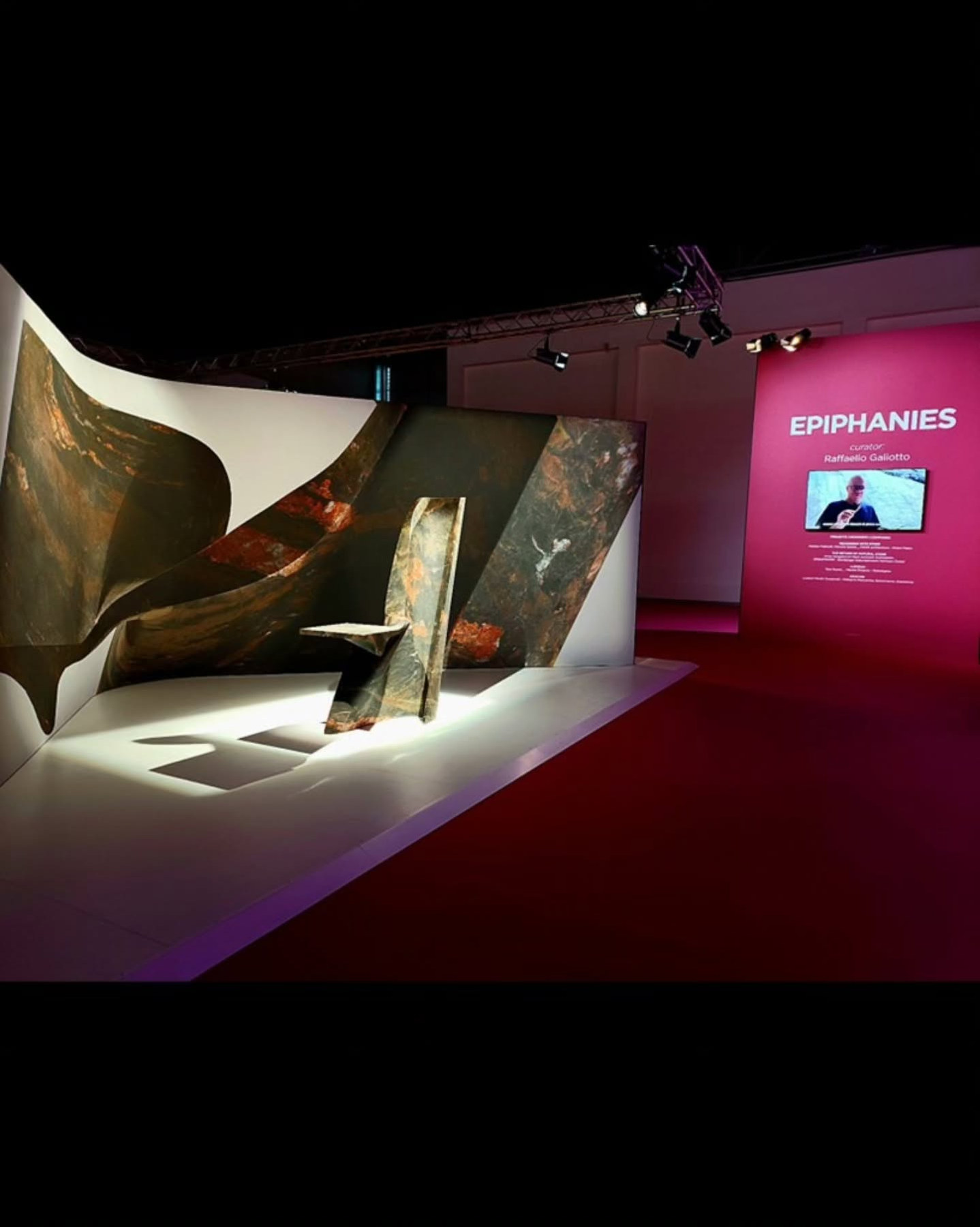 Araçari iluminada sobre tablado branco na mostra Epiphanies.
